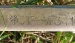 1000001843