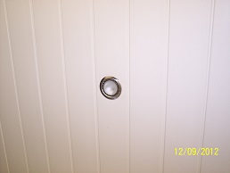 010.JPG