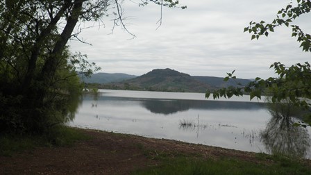 P4250008.jpg