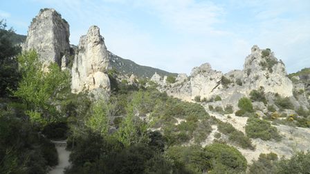 P4250034.jpg