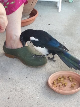 20130928_164311.jpg