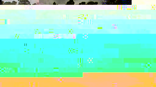 IM 1001.jpg