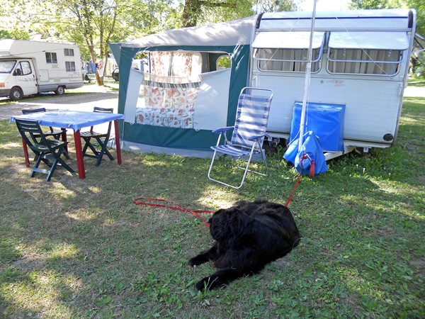 vacances 2012 493 capu fait la tête.JPG