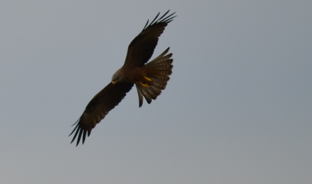 web_0317.jpg