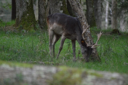 parc nature BOUTISSAIN 02.jpg