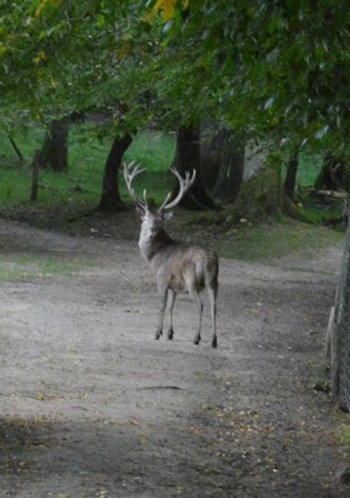 parc nature BOUTISSAIN.jpg