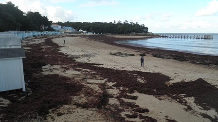 NOIRMOUTIER 004.jpg