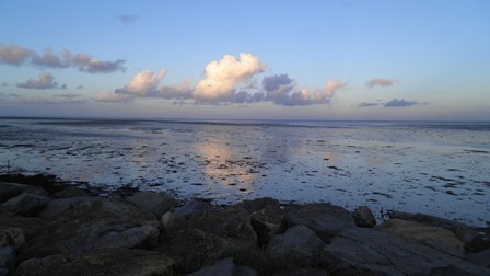 NOIRMOUTIER 006.jpg