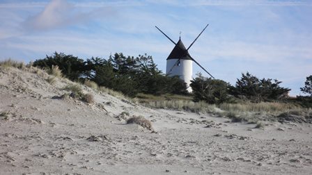NOIRMOUTIER 013.jpg