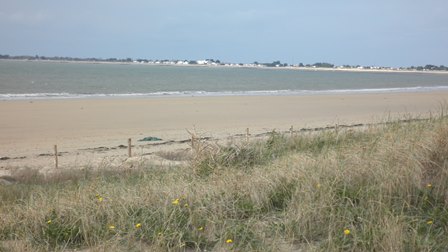 NOIRMOUTIER 015.jpg