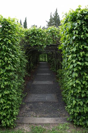 08 Le jardin des Apotiquaires.jpg