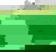 carte aubazine.jpg