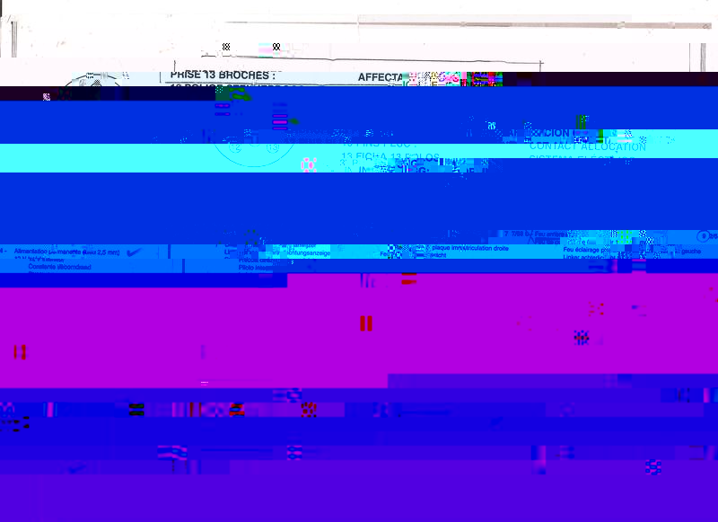 prises 13 broches 001.jpg