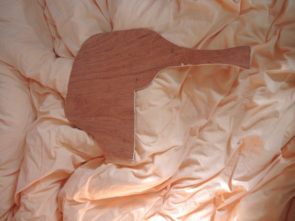 protection truma 3.jpg