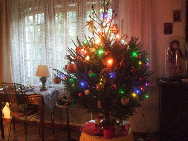 Copie de 2016_1214Sapin_20160020.JPG