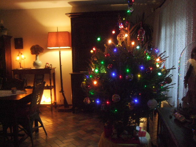 Copie de 2016_1214Sapin_20160018.JPG