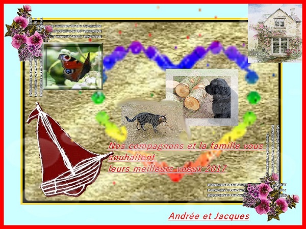 voeux 2017 m.jpg
