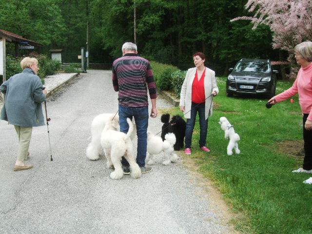 Copie de 2018_0504_Savoie_1__Mai_20180087.JPG