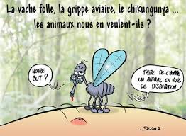 images (48).jpg