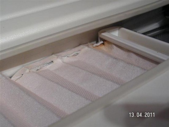 PICT0029 (Medium) (2) (Small).JPG