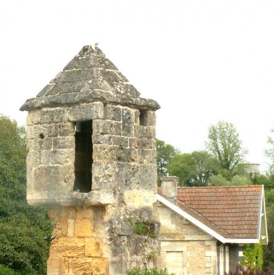 PICT0129.JPG