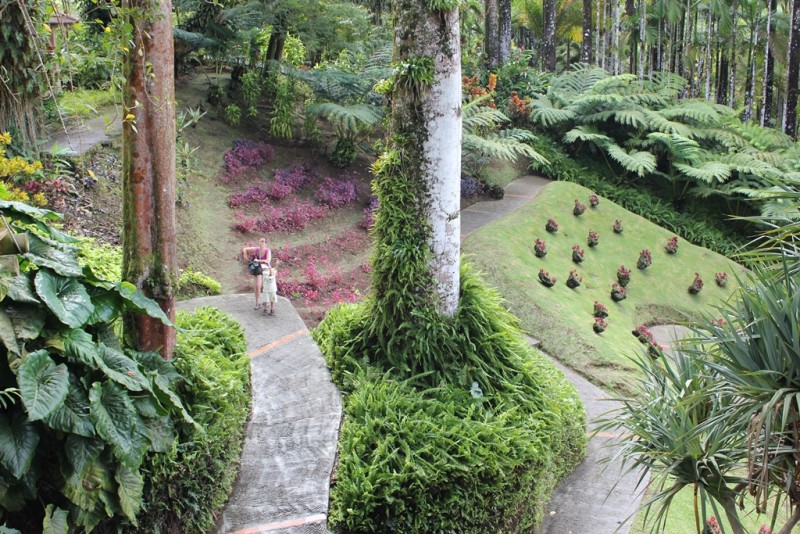 181-[Mart] - Jardin de Balata.JPG