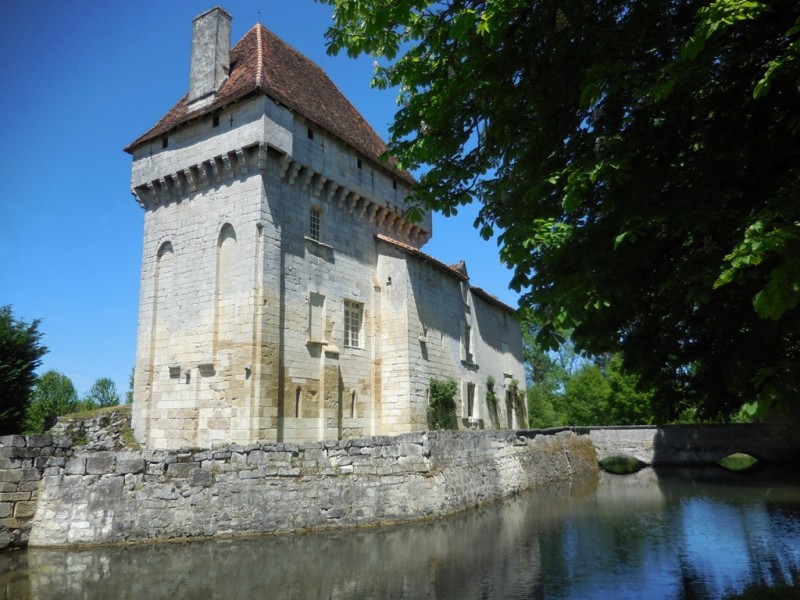DSCN0584.jpg