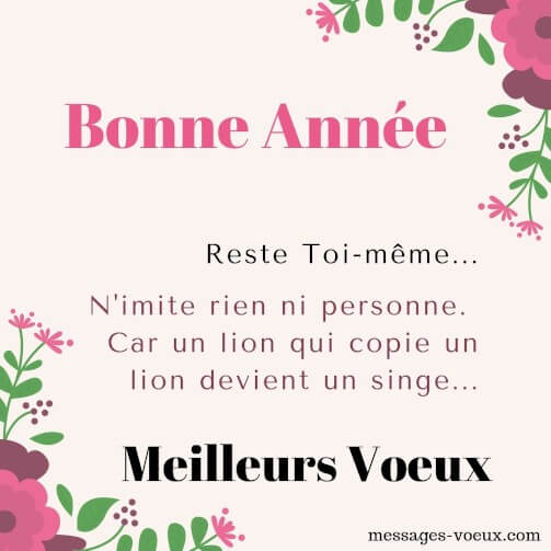 meilleurs-voeux-humour-carte-de-souhaits-humoristiques-citation-drole.jpg