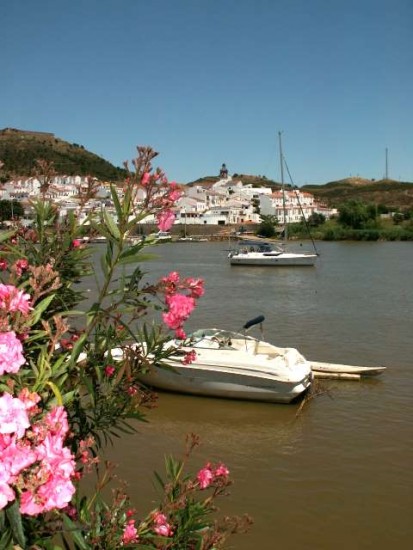 PICT0218 - LAURIERS ROSES - Villages près de la frontière espagnole - juin 11 .JPG