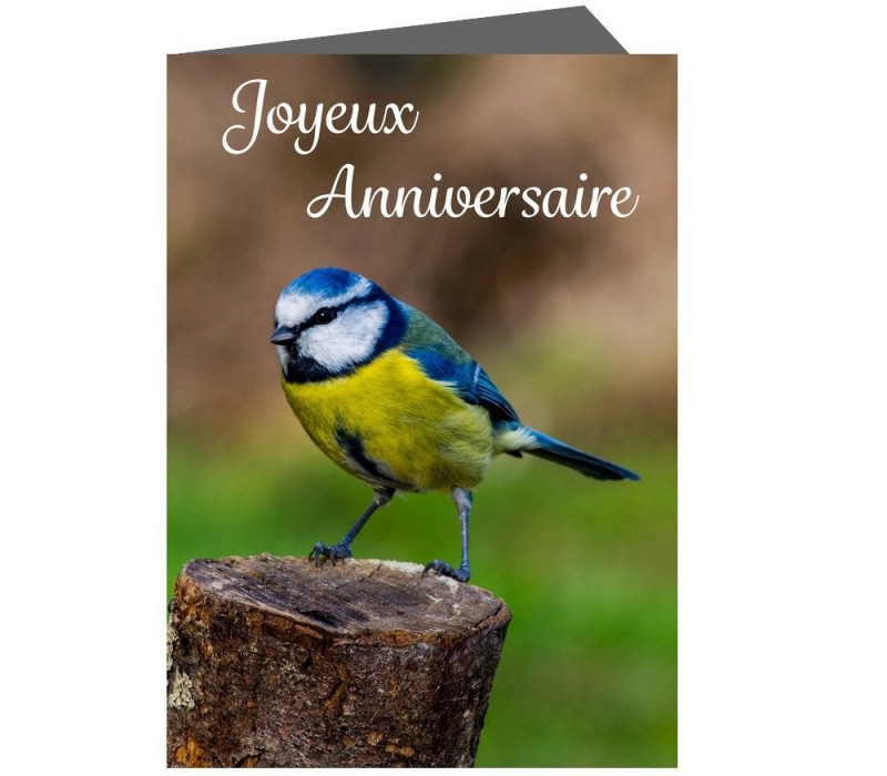 Anniversaire_mesange.jpg