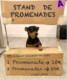 stand de promenades.jpg