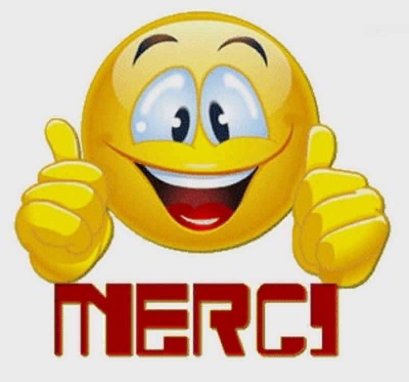 Merci.-Vous-êtes-plus-de-4000-à-nous-suivre-sur-facebook-1200x1119.jpg