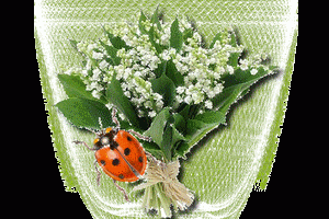 bon-1er-mai-muguet-gif-7-300x200.gif