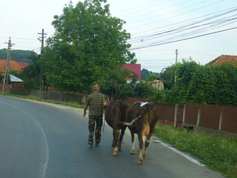 458-[RO]Transylvanie.JPG