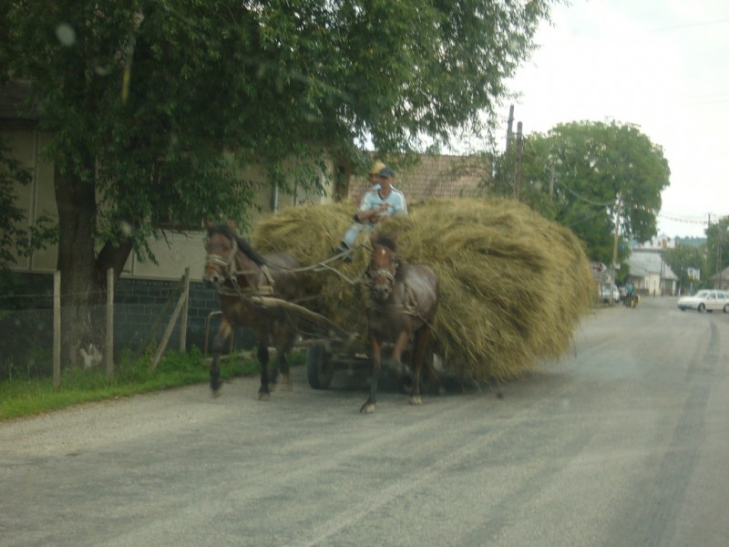 106-[RO]Maramures.JPG