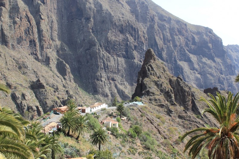 284-[TNRF] - Masca.JPG