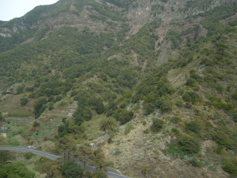 82-[TNRF] - La Gomera.JPG