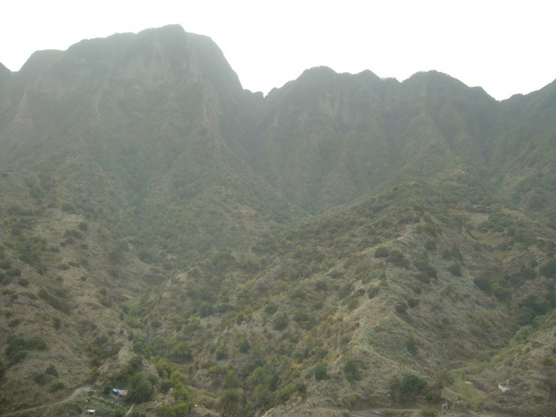 84-[TNRF] - La Gomera.JPG