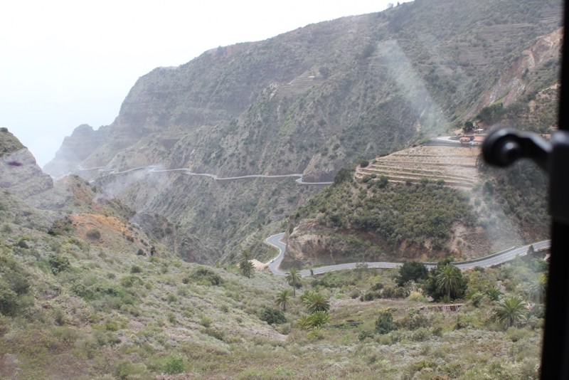 120-[TNRF] - La Gomera.JPG