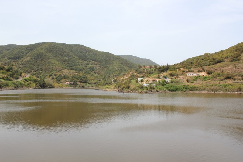 122-[TNRF] - La Gomera.JPG