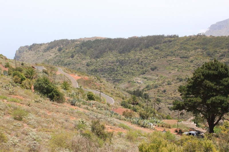 126-[TNRF] - La Gomera.JPG