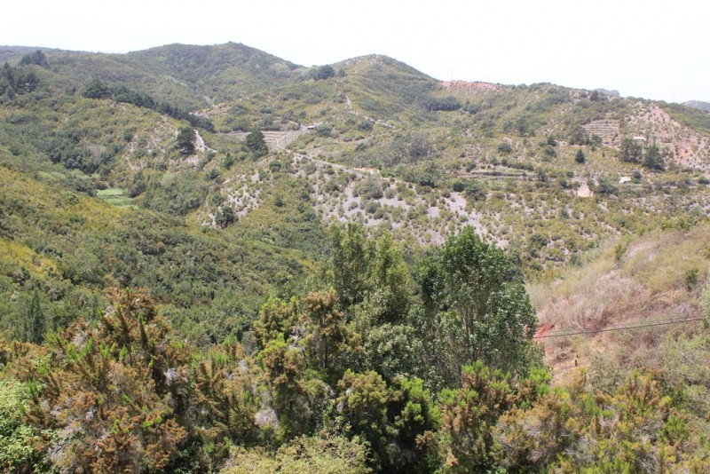 128-[TNRF] - La Gomera.JPG