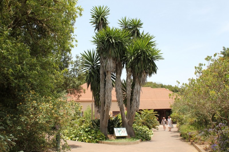 129-[TNRF] - La Gomera.JPG