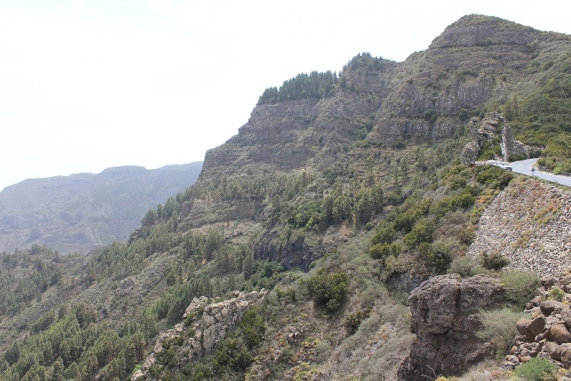 132-[TNRF] - La Gomera.JPG