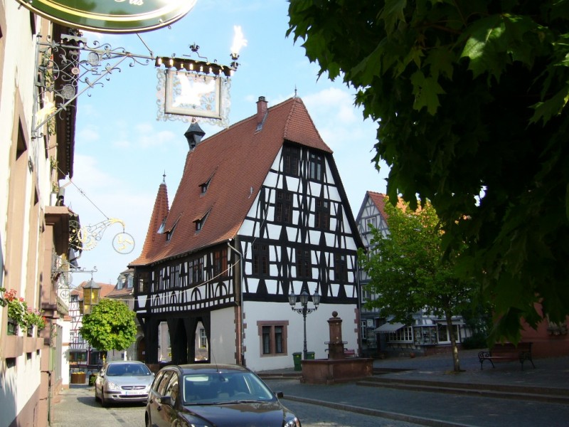 P1000494.JPG