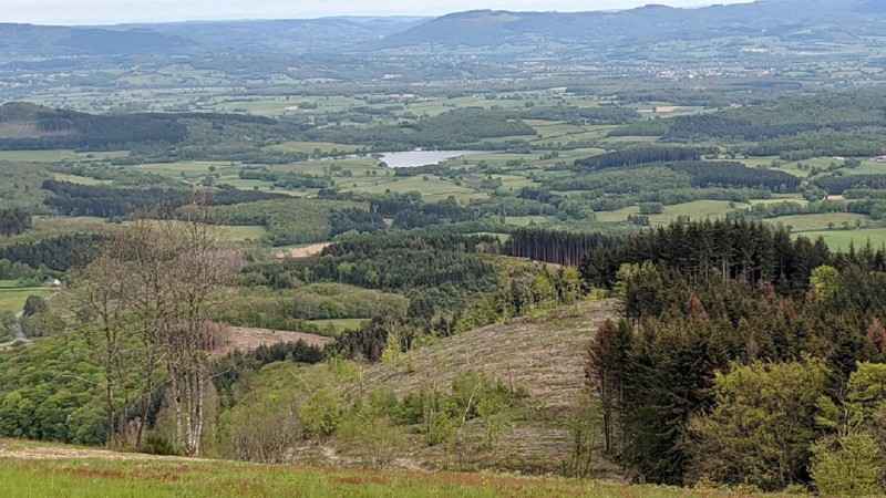 Mont Beuvray, vue sur le Massif Central.jpg