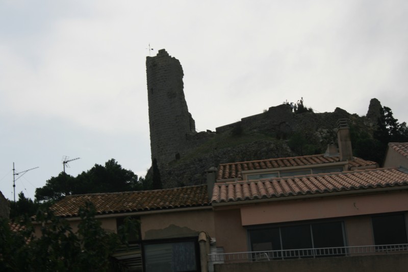 IMG_8511.JPG