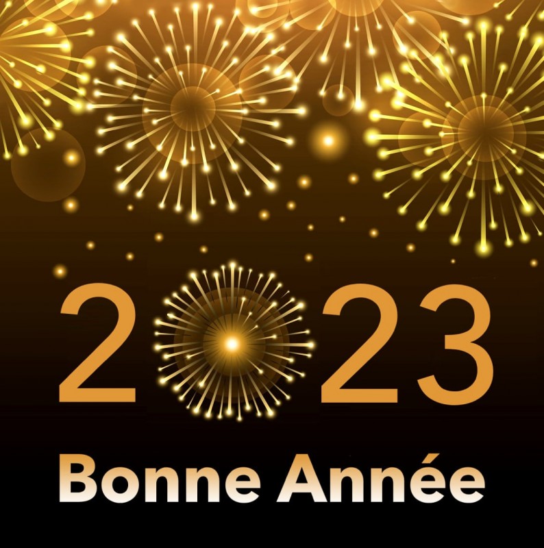 bonne-annee_076e.jpg