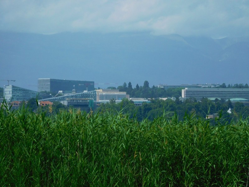 25 siège des nations unies à Genève.JPG