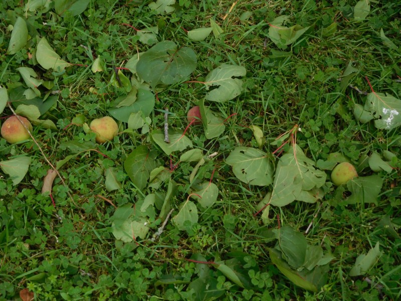 DSCN7548.JPG